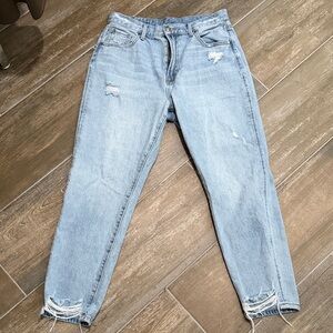 Stylish Light Blue Cropped Jeans